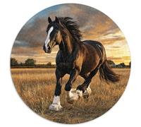 Cavallo nero che corre con grazia sul campo|Scenario rurale| Puzzle Divertenti Per Tutta La Famiglia 1000pcs (67.5x67.5cm) Adulti