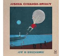 Cavanagh-Brierley, J - Joy In Bewilderment