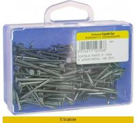 Cavatorta Scat.Punte P.L. 14x25 gr 250 Scatole 5 BLGHU996