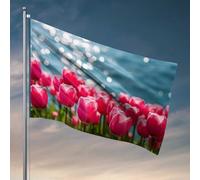 Cave Man Bar Spring Tulipani By The Shimmering Lake Flag Pool Stuff Garden Flags primavera ed estate (30 x 45 cm)
