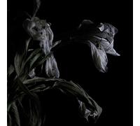 Cavernlight - As We Cup Our Hands & Drink From The Stream Of Our