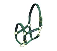 Cavezza capezza Nylon Doppio Rinforzo in Neoprene doppia Regolazione per cavalli