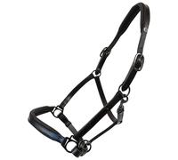 Cavezza Cuoio Equityum SuperSoft Glitter, Comfort e Stile Italiano, Materiali Innovativi, Design Elegante, Dettagli Raffinati per Cavalieri Esigenti (Nero, Full)