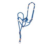 Cavezza da addestramento