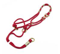 Cavezza da addestramento