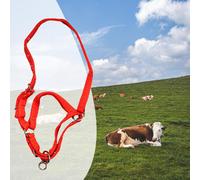 Cavezza da addestramento per cavalli, museruola robusta rossa per percorsi