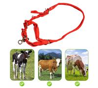 Cavezza da addestramento per cavalli, museruola robusta rossa per percorsi