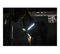 Cavezza del colletto del pettorale a LED cavezza equitazione nella notte-briglia