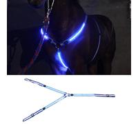 Cavezza del colletto del pettorale a LED cavezza equitazione nella notte-briglia