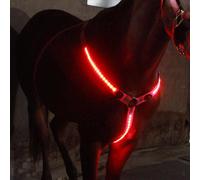 Cavezza del colletto del pettorale a LED cavezza equitazione nella notte-briglia