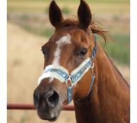 Cavezza e Longhina Multicolor, Set Cavezza con Longhina per Cavallo, Regolabile, Morbida e Resistente, per Condurre a Mano Il Cavallo (Pony, Unicorno)
