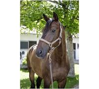 Cavezza F/S 2021 coral, COB