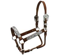 Cavezza in cuoio argentino con riporti argentati Pools