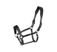 Cavezza in cuoio con piping glitterato Equestro