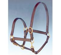 Cavezza in cuoio doppio con fibbie in ottone Sartore