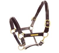 Cavezza in cuoio doppio con targhetta e doppia regolazione Supreme