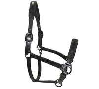 Cavezza in cuoio imbottita in morbida pelle con glitter su nasalina e sovracapo