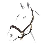 Testiera per cavallo superiore in cuoio Equestro Marron Pony