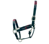 Cavezza in cuoio nero con riporti colorati modello Cover Sartore