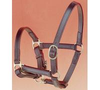 Cavezza in cuoio per puledro con doppia regolazione e fibbie in ottone Sartore