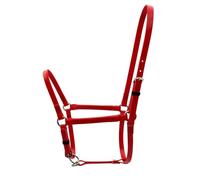 Cavezza per Cavallo Cavezza Regolabile Testiera Bardatura Briglie in Tpu con Finitura Facile Anelli Metallici Robusti Adatta per Addestramento Passeggiate Gestione Quotidiana , Rosso