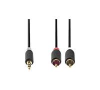 Cavi audio NEDIS CABW22200AT100