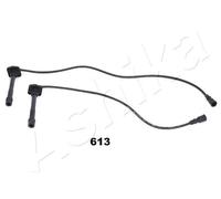 ASHIKA 132-06-613 Kit cavi candele