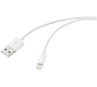 Cavi Lightning RENKFORCE RF-5724084