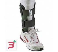 CAVIGLIERA STABIGIB BIVALVA GIBAUD ORTHO