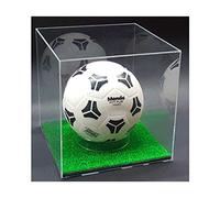 Cavinato Acrylics TECA - Vetrina per Pallone da Calcio in Plexiglass Trasparente con Base ed Erba Sintetica Verde. PRONTA PER L'USO. NIENTE DA MONTARE.