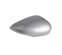 CAVINBDZ per F&ORD per Fiesta MK7 2008-2017 Sinistro Destro Argento Auto Vista Laterale Specchietto Retrovisore Copertura Tappo Parti Esterne (Lato Destro)