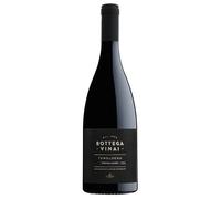 Cavit Bottega Vinai Teroldego Rotaliano Trentino DOC 2024 0,75 l