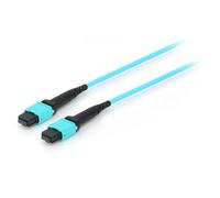 Equip Equip 25555807 Cavo A Fibre Ottiche 20 M Mtp Om4 Ciano T_0009_2216208 Info