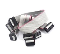 Cavo a nastro piatto, cavo a nastro, cavo a nastro piatto grigio 2 pezzi passo 2,54 mm FC-6/8/10/14/16/20/40/50 PIN 30 cm cavo di download cavo dati a nastro piatto grigio for intestazione scatola DC3