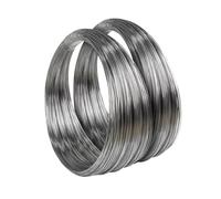 Cavo Acciaio Filo di acciaio for molle Filo di acciaio for molle in acciaio inossidabile 304 Filo di acciaio a disco elastico a filo singolo Accessori diametro 0,4 mm-2 mm Filo Acciaio Inox(1.3mm,10 M