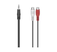 Hama 3.5 Mm M To 2rca H Cable Trasparente