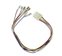 Cavo Adattatore Plug & Play per Luce Posteriore E Indicatore Triumph Moto