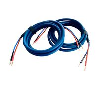 Cavo altoparlante linea bianca Van Damme 2 x coppia terminata da 2,5 mm