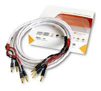 Cavo altoparlante Wireworld Solstice 8 una coppia terminata