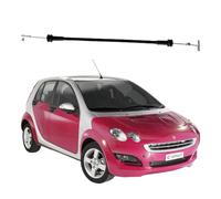 Cavo Apriporta Posteriore Adatto per SMART Forfour 04-13 DX=SX Maniglia Esterna