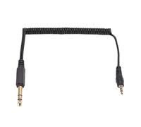 Cavo Audio da 3,5 Mm, Plastica con Cavo Audio Dalle Prestazioni Stabili Cavo Ausiliario per PC Portatile (Dual Sound maschio a 3,5 mm Dual Sound maschio)