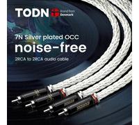 Cavo audio TODN Hi-End 8AG placcato argento OCC 16 fili con cavo WBT RCA HIFI da 2RCA a 2RCA