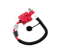 Cavo Batteria, Polo Positivo Adatto A per BMW X5 E70 2006 X6 E71 2007 Klema