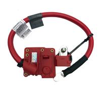 Cavo Batteria Positivo (+) Terminale Adatto Per BMW Serie 1 3 X1 E90 E92 6988974