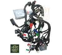 Cavo Cablaggio Principale KTM 390 DUKE 2020-2023 Nero 12 V