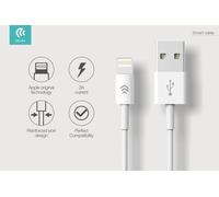Cavo Dati Carica TipoLight-ning iPhone e iPad IOS 1 metro Bianco - DESCAL650W