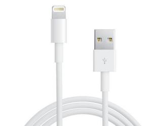 CAVO DATI ORIGINALE APPLE LIGHTNING IPHONE/IPAD - 1 mt. ME291ZM/A