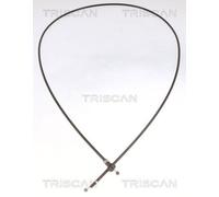 Cavo Del Cofano TRISCAN Per VW GOLF IV