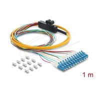 Cavo DeLOCK 91050 1 m 12x LC Pigtail Fibra Ottica Single Mode