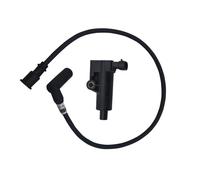 Cavo di collegamento, bobina di accensione per Hisun 400 500 UTV CODICE HS 33101-113E00-0000 CODICE ERP P113E00331010000 P116000331000000